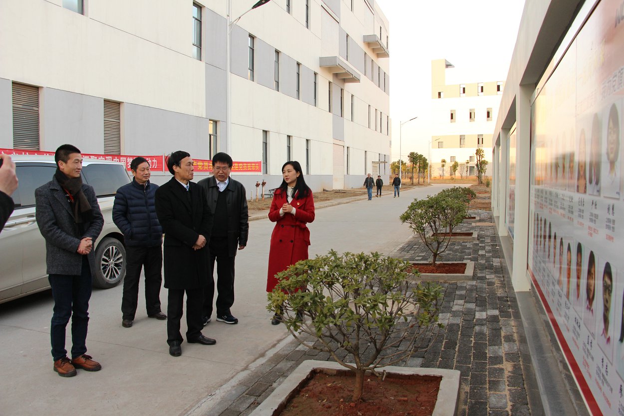 Municipal CPPCC Vice Chairman He Weihua visit Jiangxi Woge investigation visit Au Optronics Co